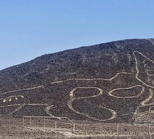 Figura de felino gigante en desierto de Perú