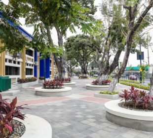 Avenida delta - Noticias de Ecuador