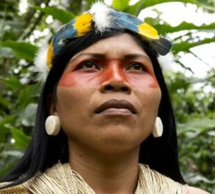Líder indígena - Noticias de Ecuador