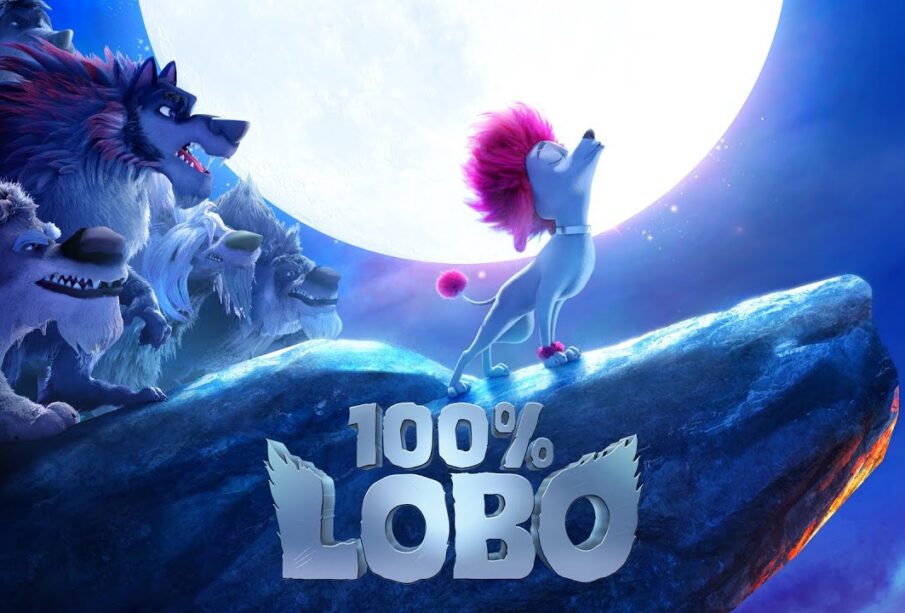 100% lobo - Noticias de Ecuador