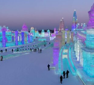 Festival Internacional de Esculturas de Hielo - Noticias de Ecuador