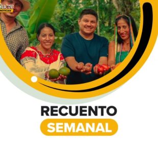 Recuento semanal del 18 al 22 de enero Noticias de Ecuador