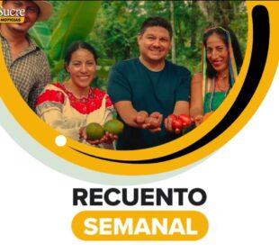 Recuento semanal del 8 al 12 de febrero | Noticias de Ecuador