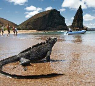 Canje de la deuda externa - Galápagos - Noticias de Ecuador