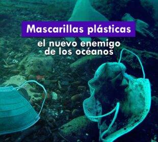 Mascarillas plásticas - Noticias de Ecuador