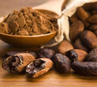 Cacao ecuatoriano vuelve a romper récord de exportación - Noticias de Ecuador