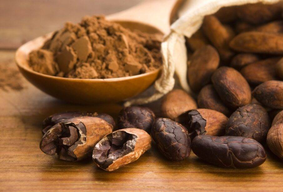 Cacao ecuatoriano vuelve a romper récord de exportación - Noticias de Ecuador