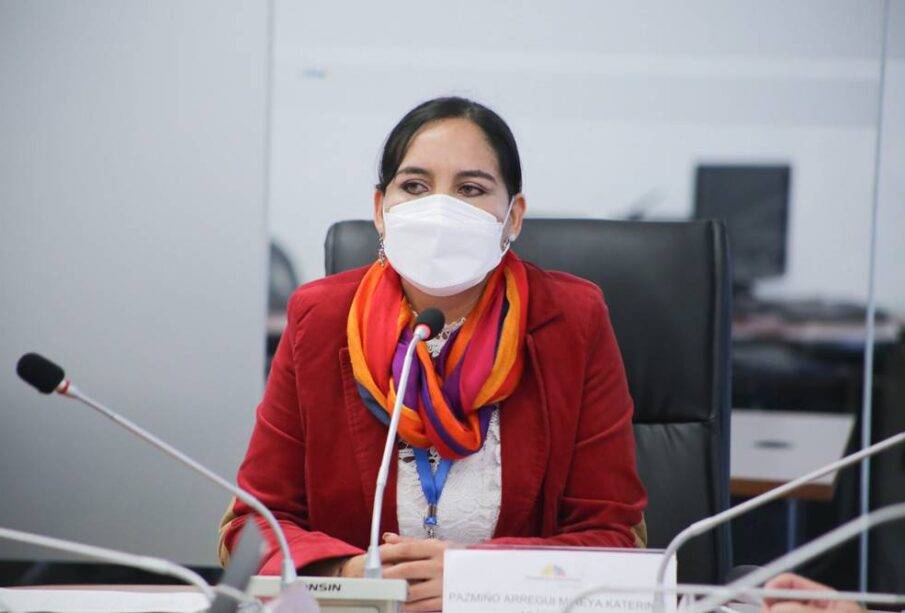 Pachakutik expulsa de su bloque a Mireya Pazmiño - Noticias de Ecuador