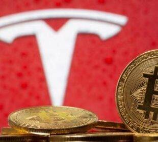 La separación de Elon Musk y el Bitcoin - Noticias de Ecuador