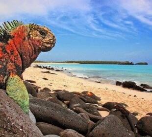 Inversión millonaria para Galápagos - Noticias de Ecuador