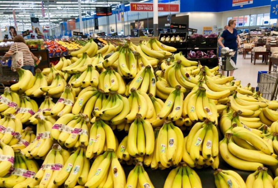 Banano ecuatoriano se pega el bajón con el 4,1% en sus exportaciones - Noticias de Ecuador