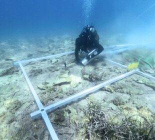 Asentamiento neolítico bajo el agua - Croacia - Noticias de Ecuador