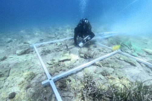 Asentamiento neolítico bajo el agua - Croacia - Noticias de Ecuador