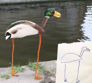 Tom Curtis - Dibujos - Noticias de Ecuador