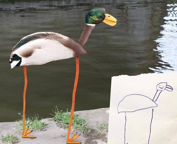 Tom Curtis - Dibujos - Noticias de Ecuador