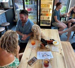Bar para perros y humanos en Londres - Noticias de Ecuador