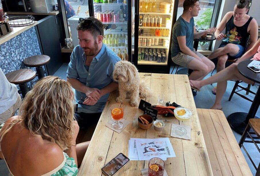 Bar para perros y humanos en Londres - Noticias de Ecuador