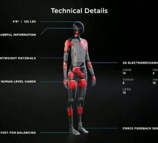 Elon Musk y el Tesla Bot - Noticias de Ecuador