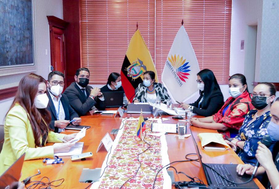 El CAL limita a Bella Jiménez en caso Fernando Villavicencio - Noticias de Ecuador