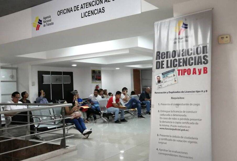 Descuentazo del 50% en renovaciones de licencias para buenos conductores - Noticias de Ecuador
