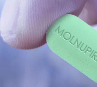 Molnupiravir - píldora anticovid - Noticias de Ecuador