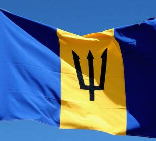 Barbados se desliga de la monarquía británica - Noticias de Ecuador