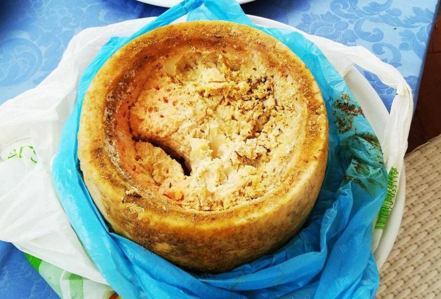 Queso cazu marzu - Noticias Ecuador