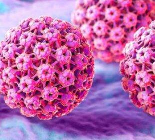 virus-vph- Noticias Ecuador