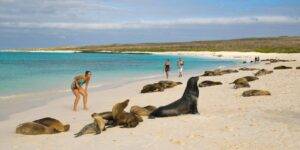5 atracciones turisticas de galapagos que debes visitar- Noticias Ecuador