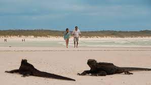 5 atracciones turisticas de galapagos que debes visitar- Noticias Ecuador