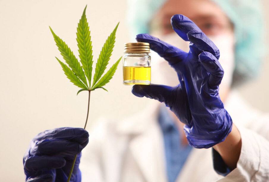 cannabis para covid - Sucre Noticias