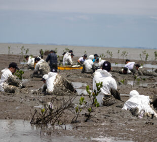 Puerto de Aguas Profundas de Posorja, finalista en los Premios de Sostenibilidad IAPH 2022 - Noticias de Ecuador