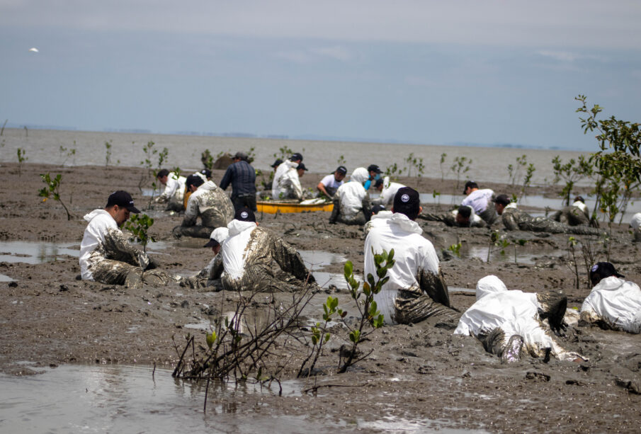 Puerto de Aguas Profundas de Posorja, finalista en los Premios de Sostenibilidad IAPH 2022 - Noticias de Ecuador