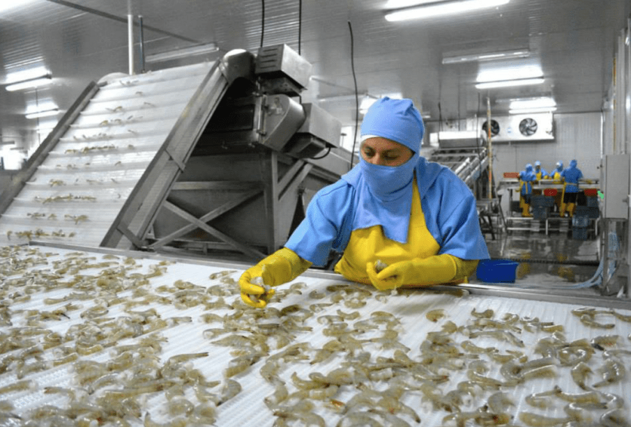 México retira al camarón de negociaciones del acuerdo con Ecuador - Noticias de Ecuador