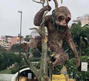 Mono capuchino entre cabos de pesca - Noticias de Ecuador