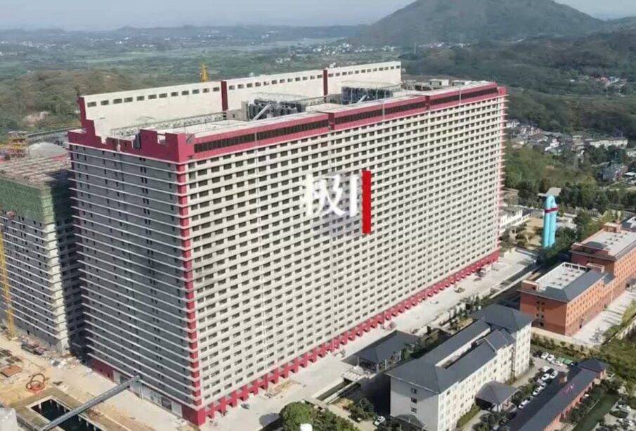 China construye un gigantesco rascacielos de 26 pisos para criar 1,2 millones de cerdos