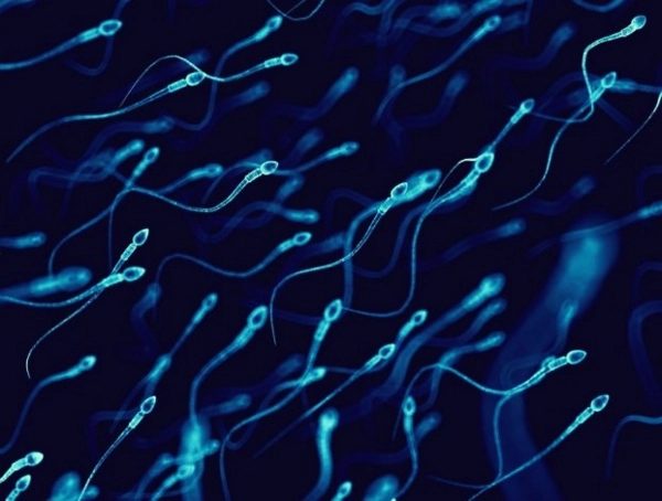 Demandan a un donante de semen al que se le atribuye el nacimiento de más de 550 hijos