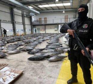 Marruecos incauta cocaína de Ecuador - Noticias de Ecuador