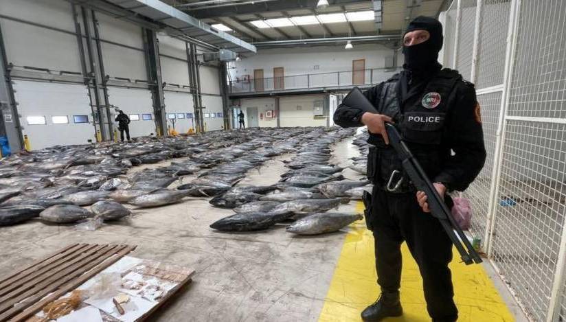 Marruecos incauta cocaína de Ecuador - Noticias de Ecuador