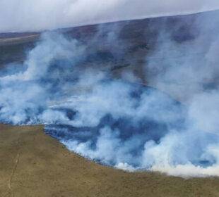 Incendio forestal en la Reserva Ecológica Antisana
