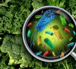 alimentos contaminados