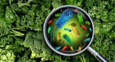 alimentos contaminados