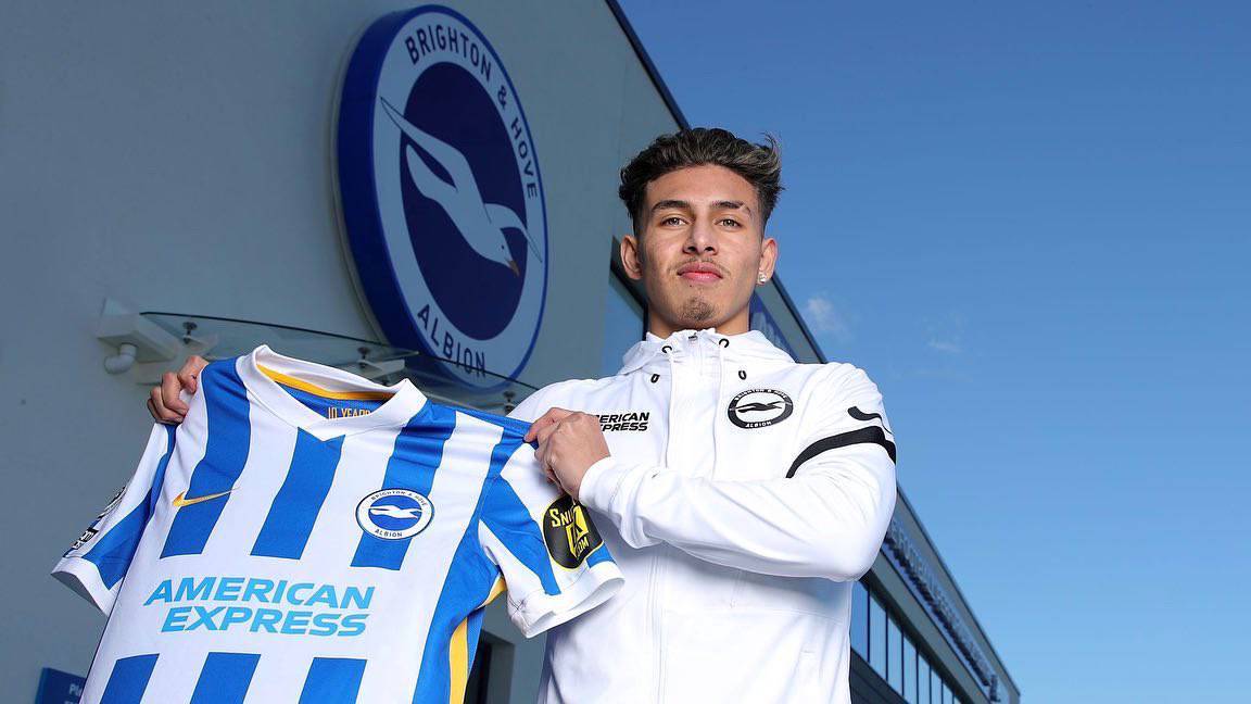 Jeremy Sarmiento Se Sum A La Pretemporada Del Brighton Sucre Noticias Jeremy Sarmiento Se Sum A La Pretemporada Del Brighton Sucre Noticias