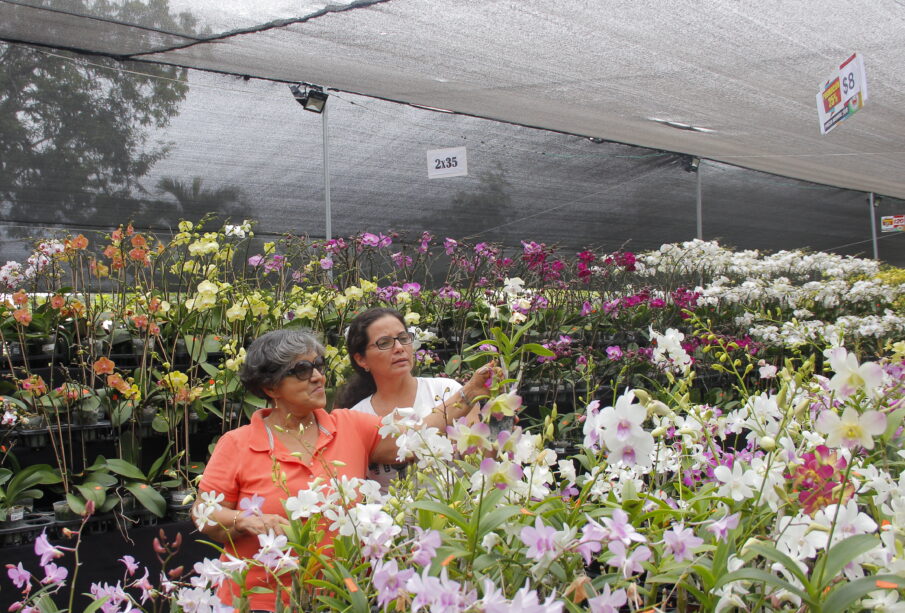 Ecuagenera - Casa abierta - Orquídeas